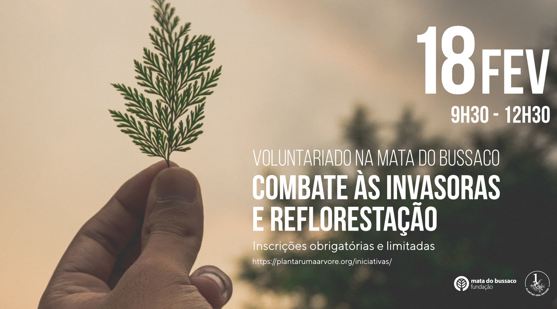 Voluntariado – Combate às invasoras e reflorestação