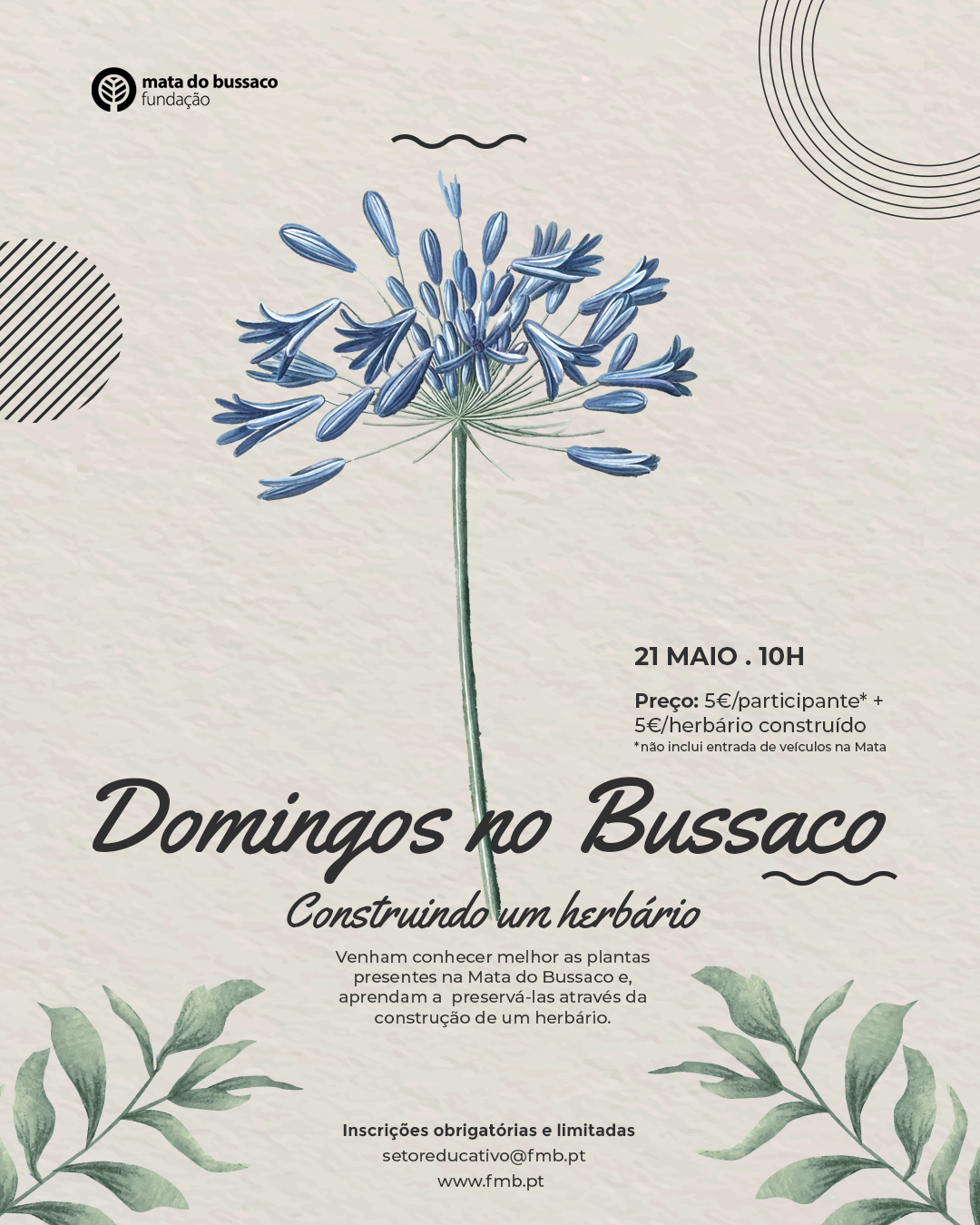 Domingos no Bussaco – Construindo um herbário
