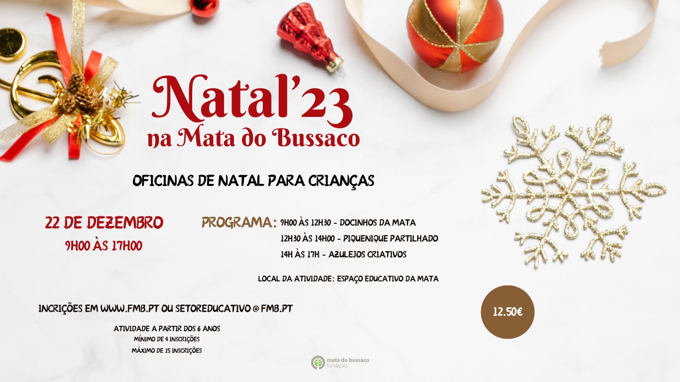 Cartaz Geral Natal (Website) (1)
