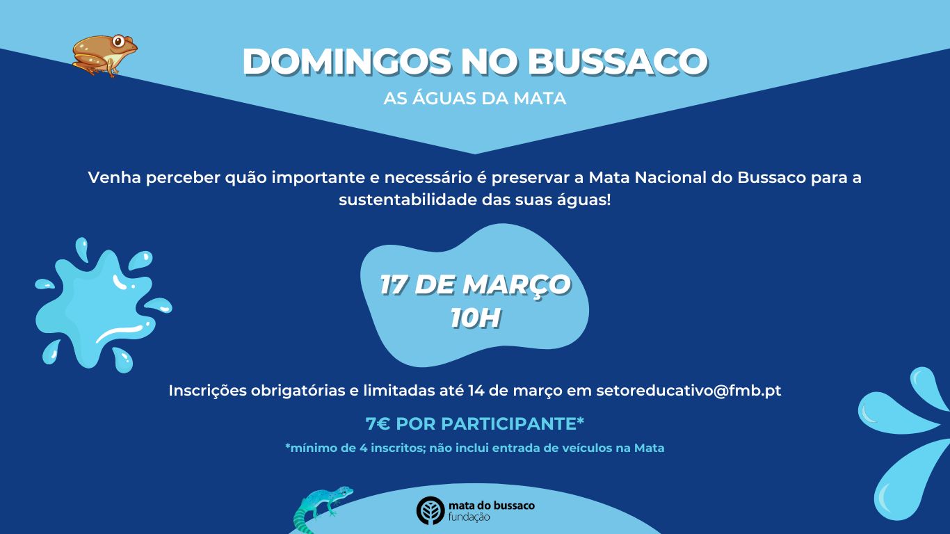 DOMINGOS NO BUSSACO MARÇO A4 (Website)