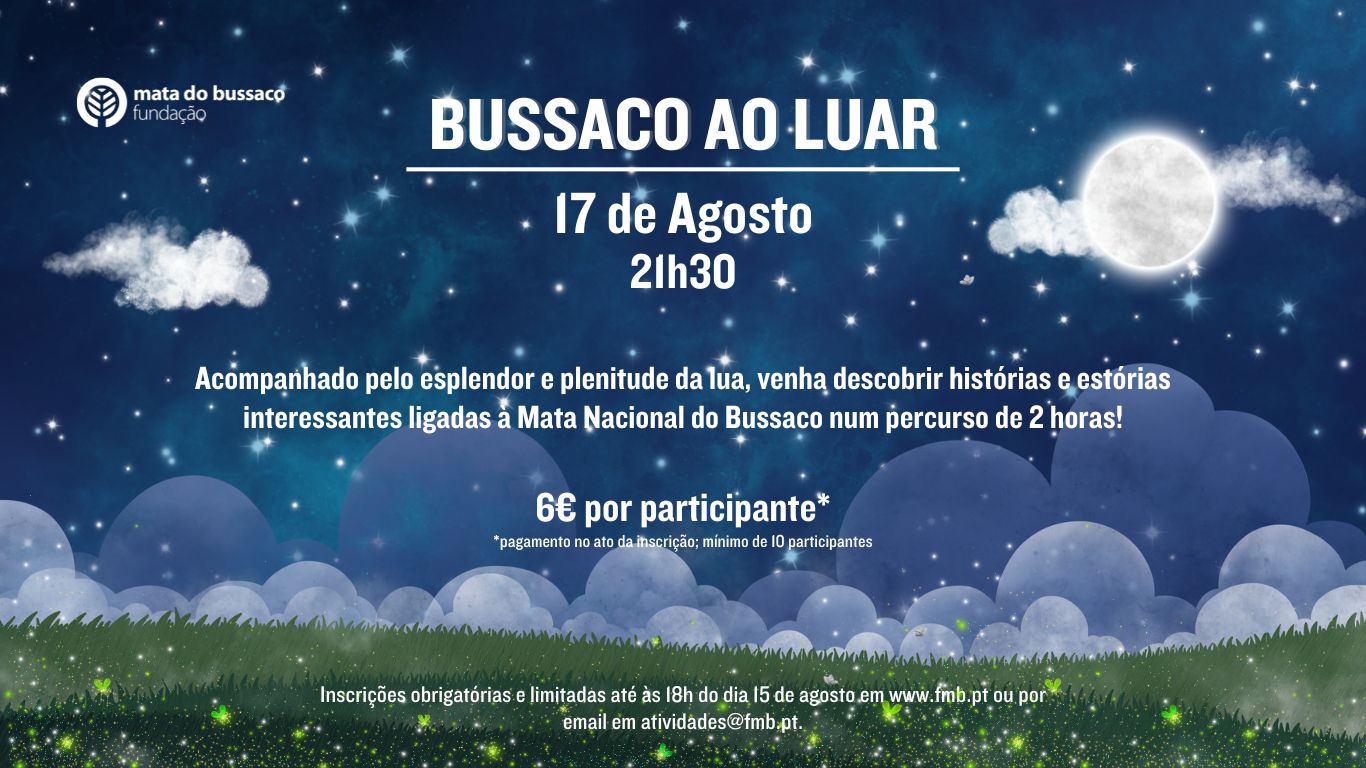 Bussaco ao Luar