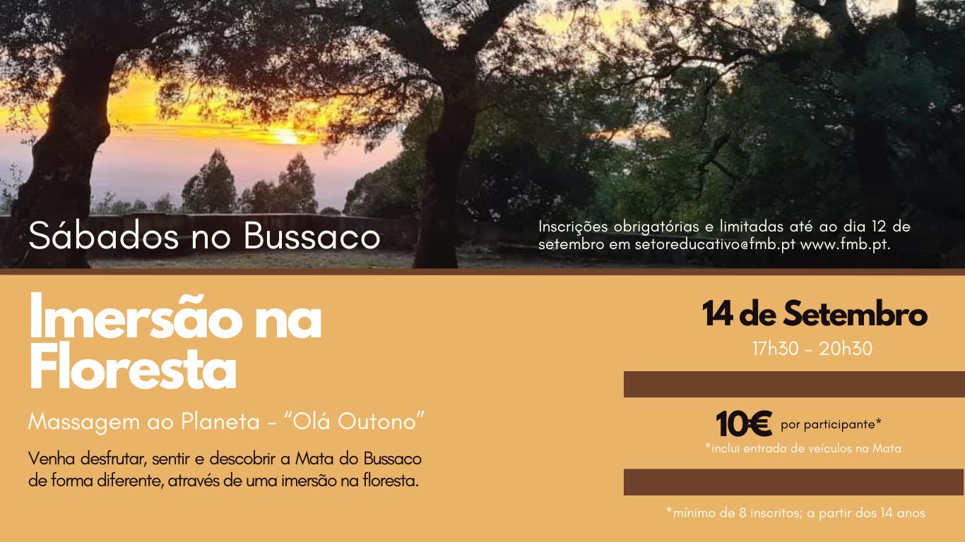 Bem-vindos à Mata Nacional do Bussaco