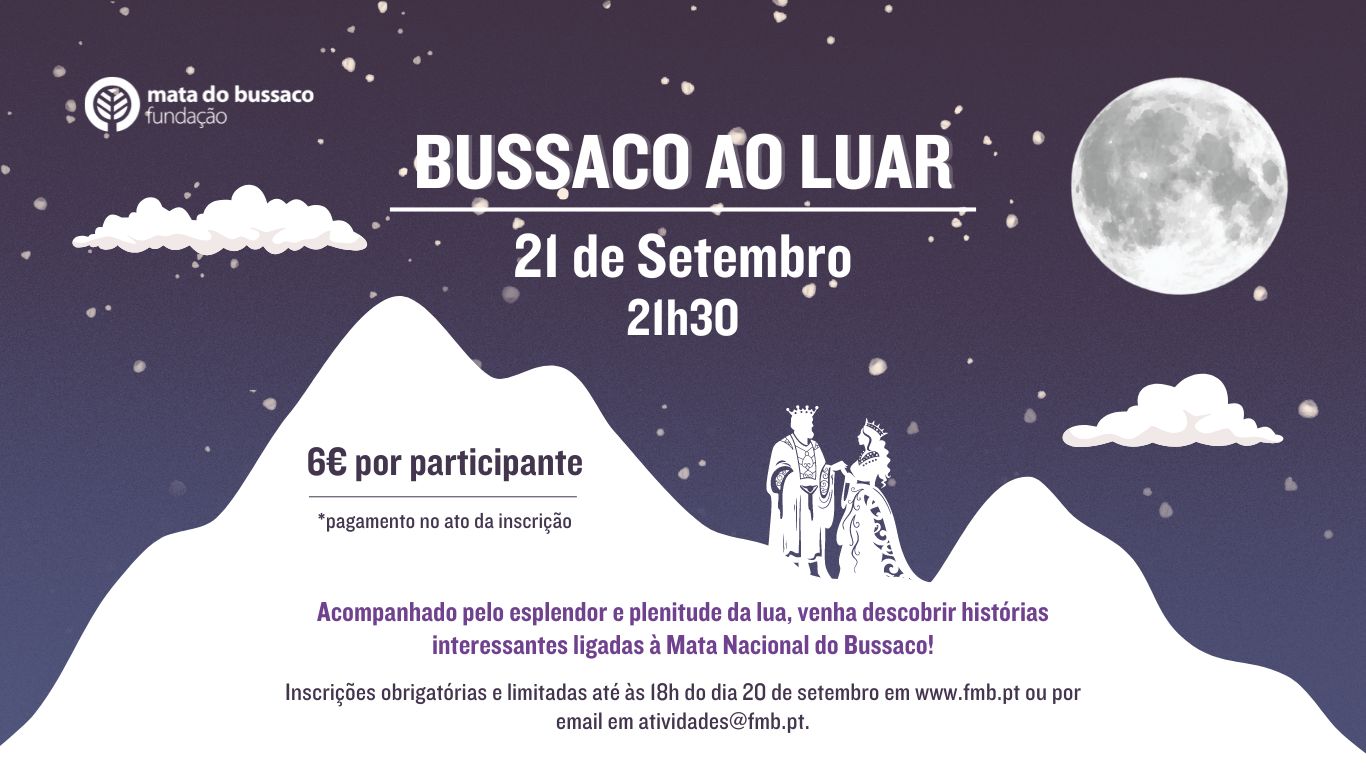 BUSSACO AO LUAR (Website)