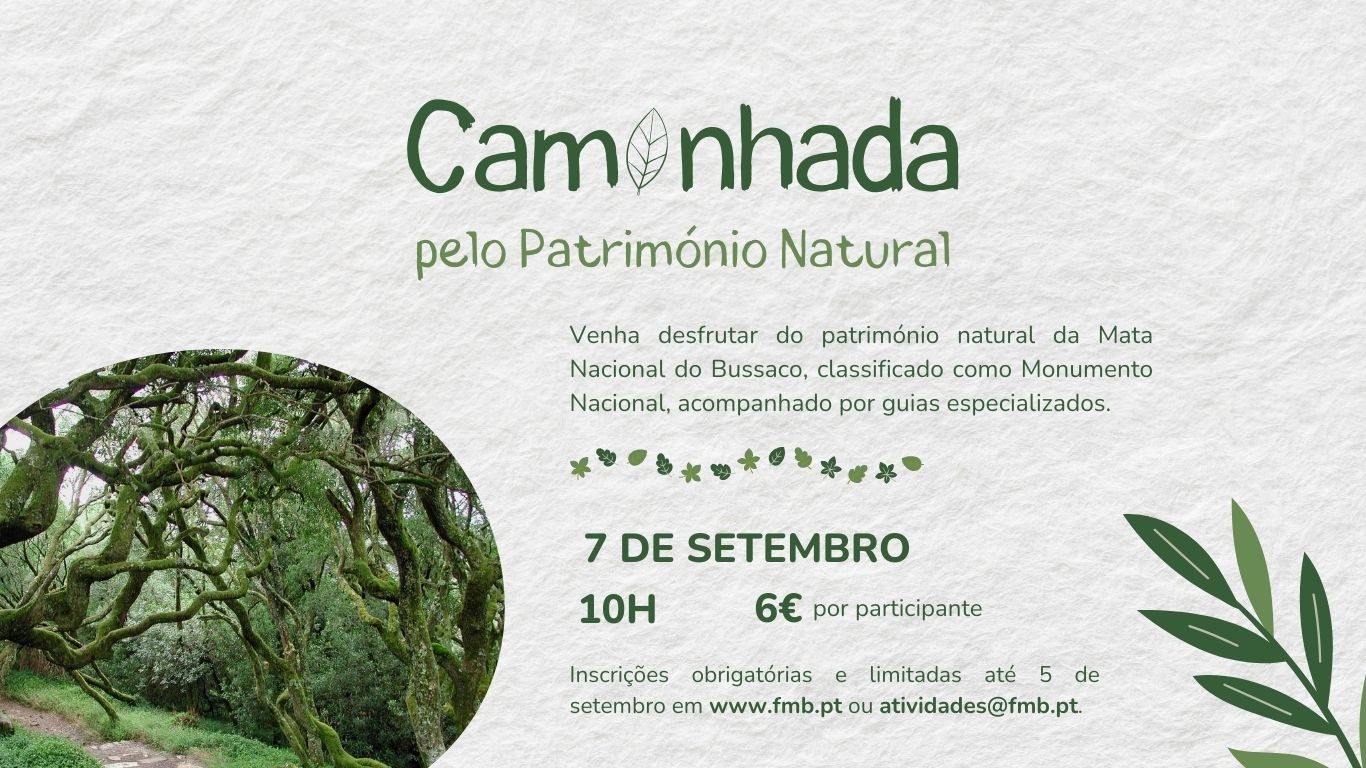 Caminhada pelo Património Natural