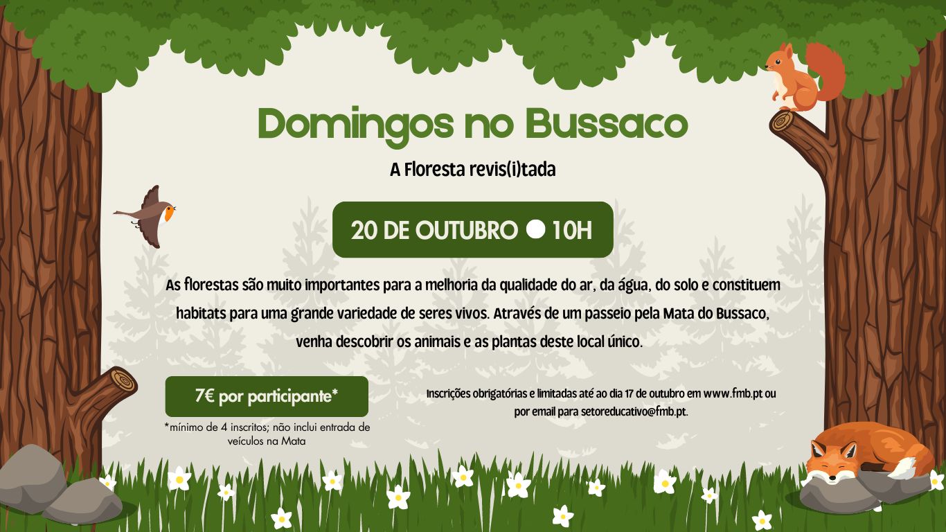 Domingos no Bussaco