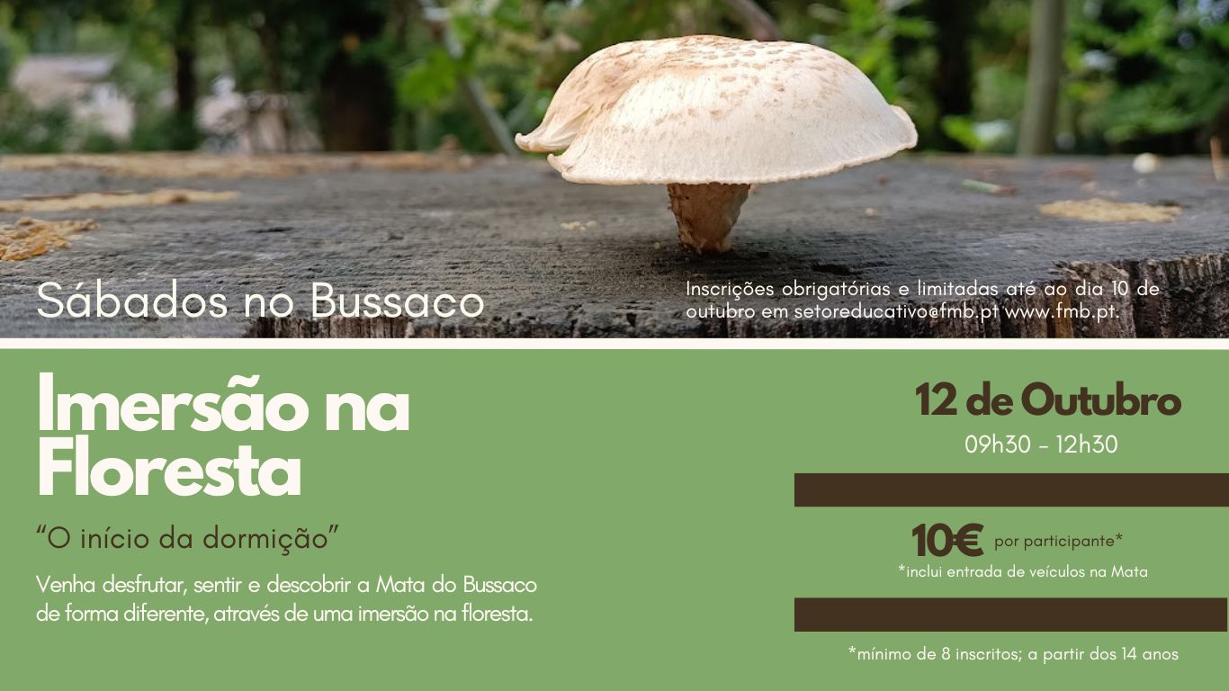 Sábados no Bussaco