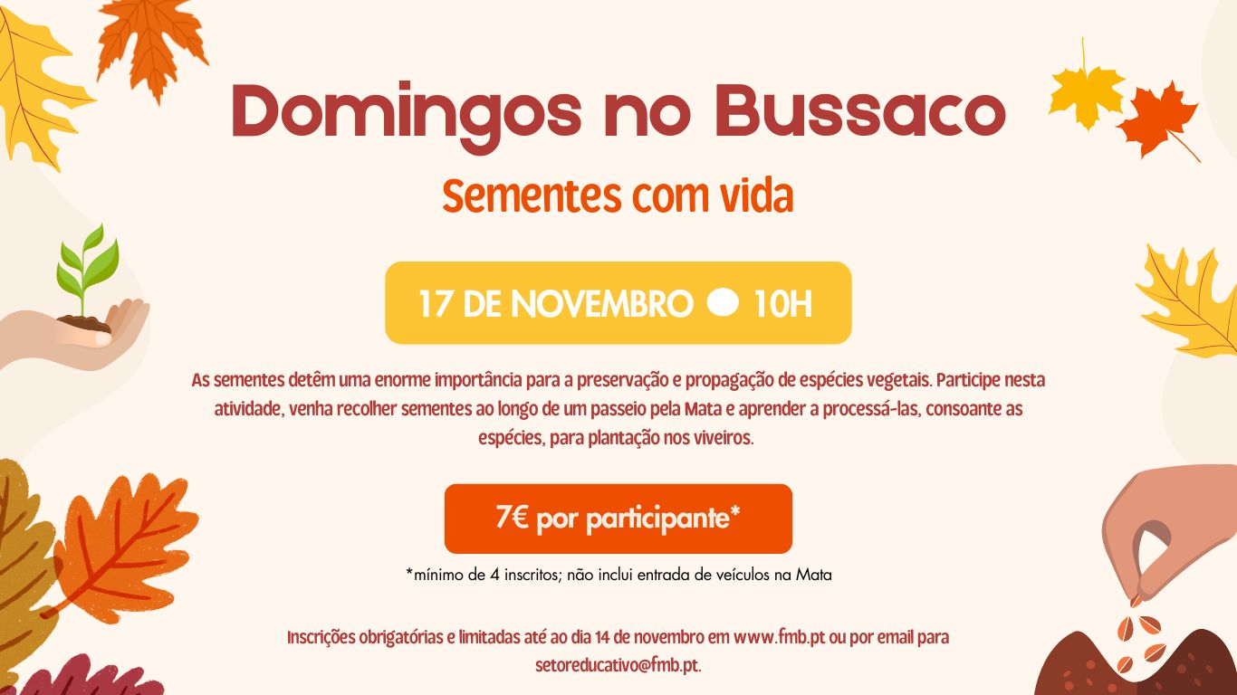 Domingos no Bussaco