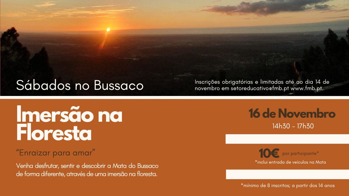 Sábados no Bussaco