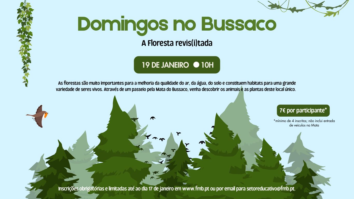 Domingos no Bussaco