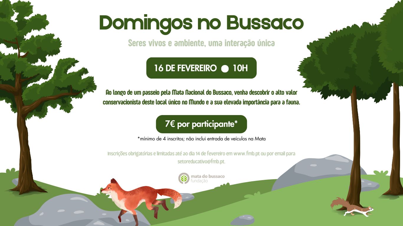 Domingos no Bussaco