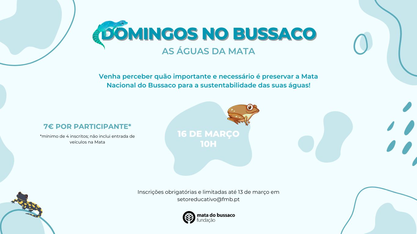 Domingos no Bussaco