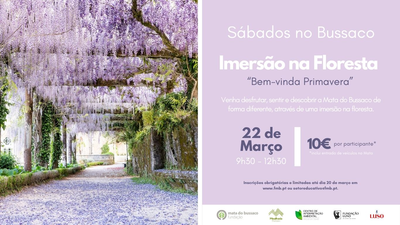 Sábados no Bussaco