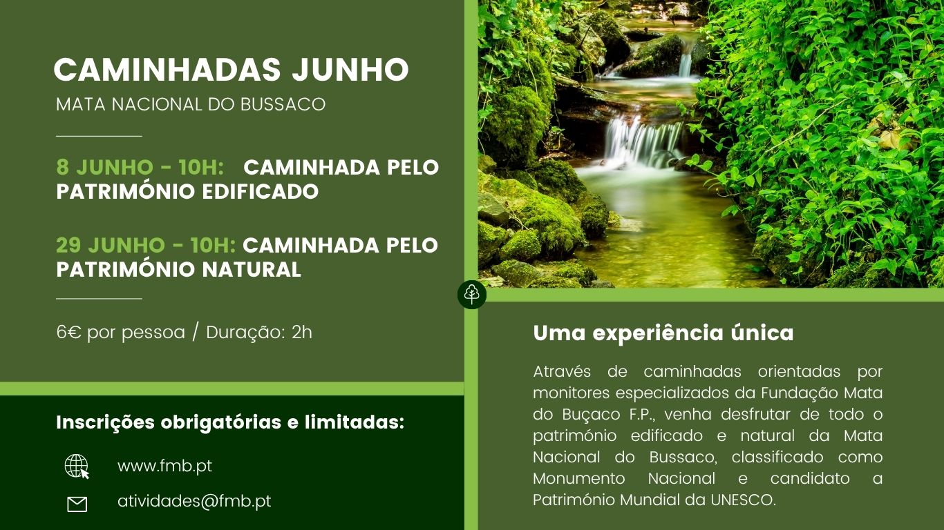 Caminhada pelo Património Natural