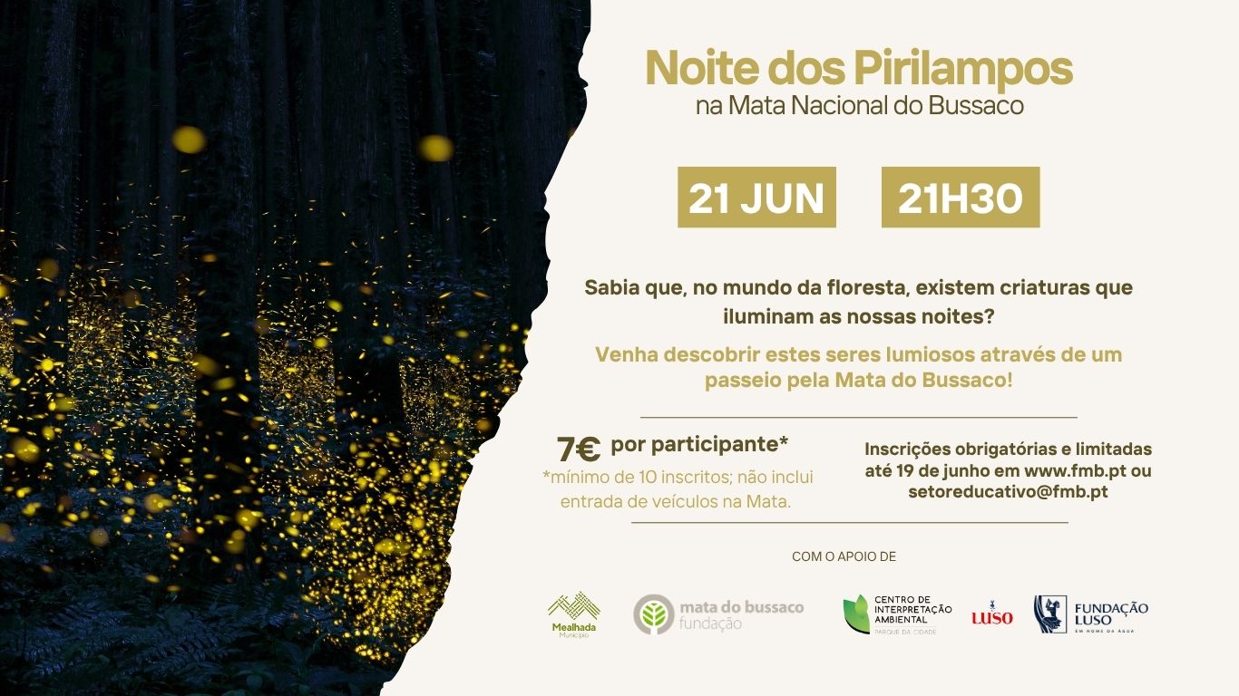 Noite dos Pirilampos