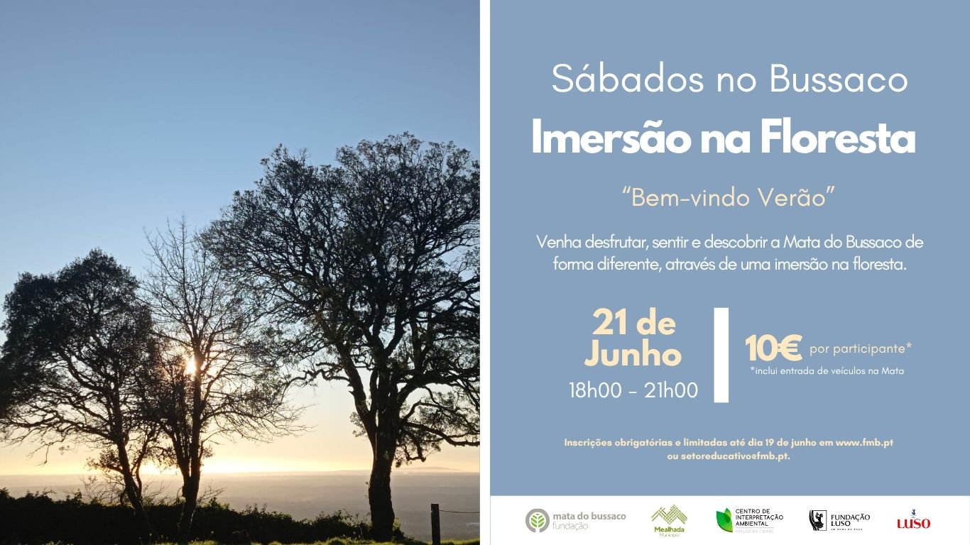 Sábados no Bussaco – Imersão na Floresta