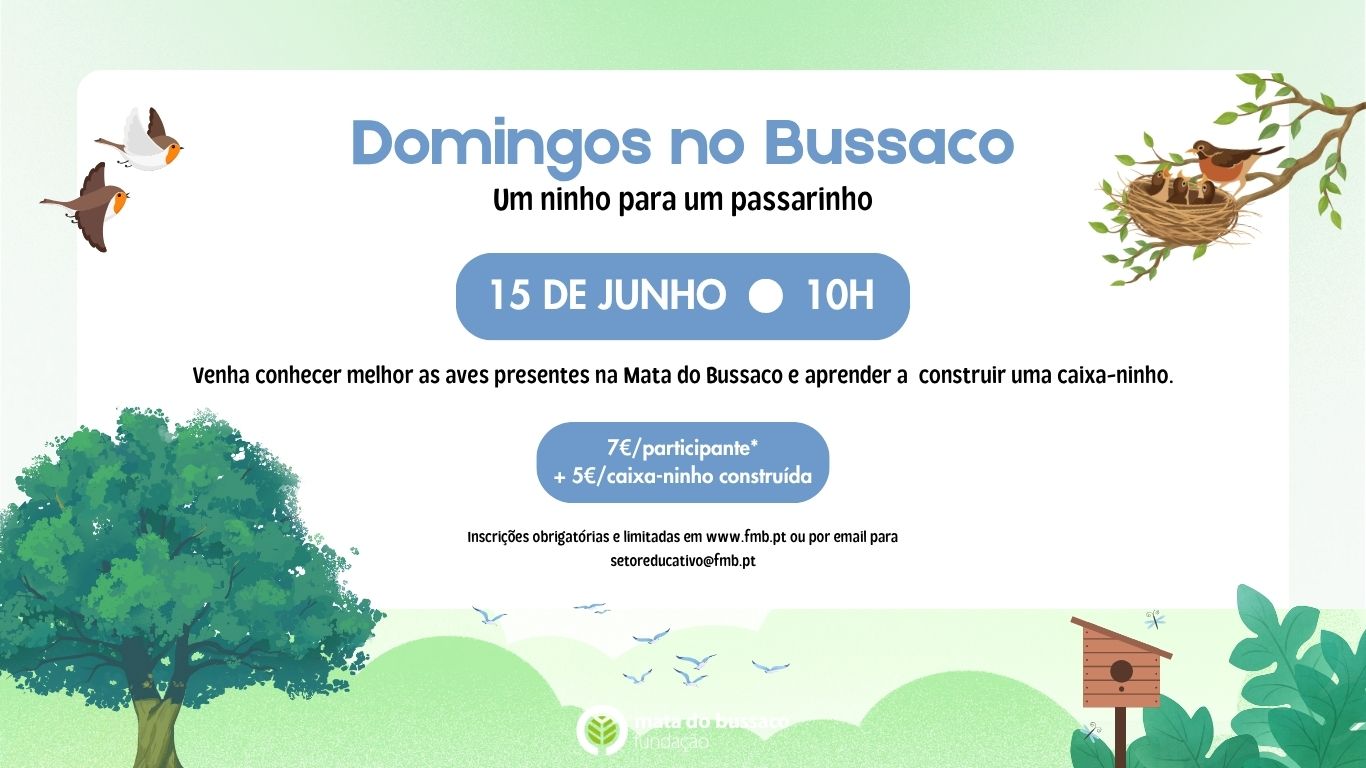 Domingos no Bussaco
