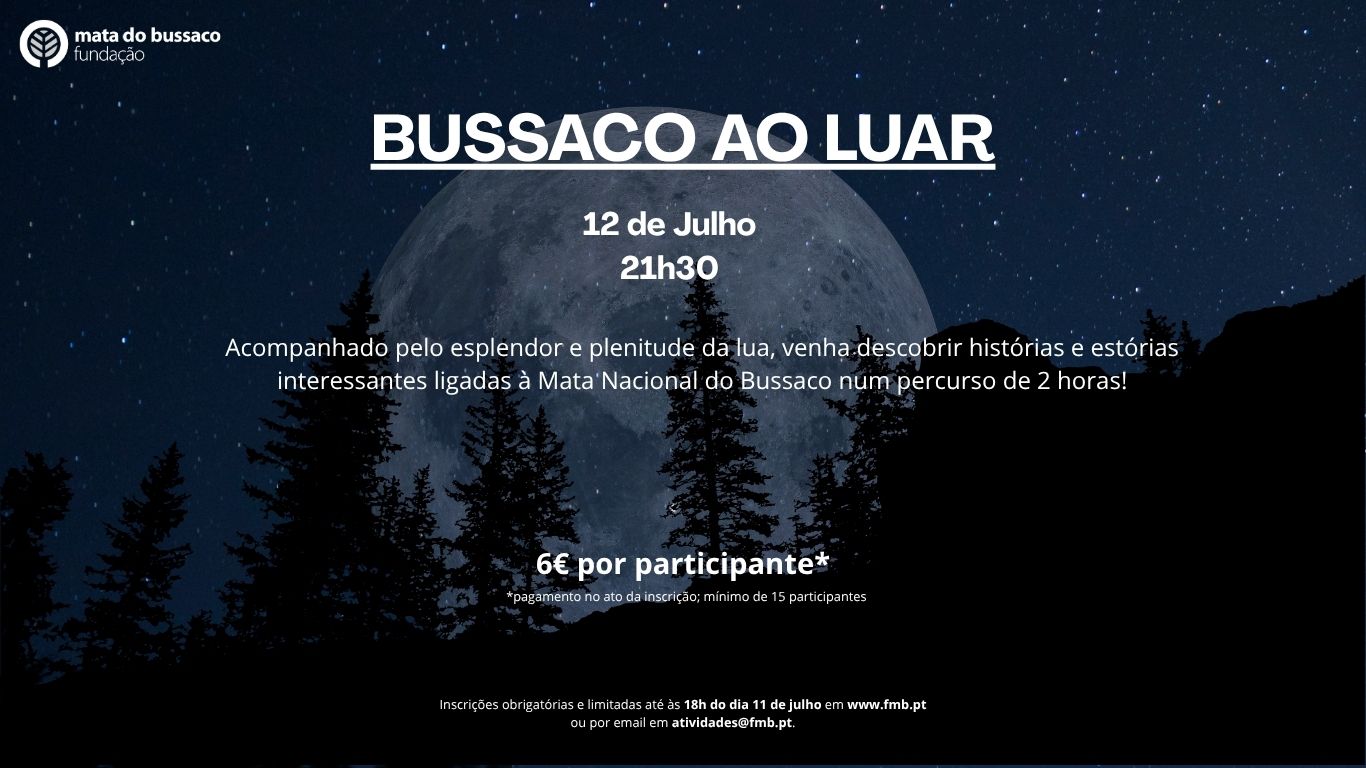 Bussaco ao Luar