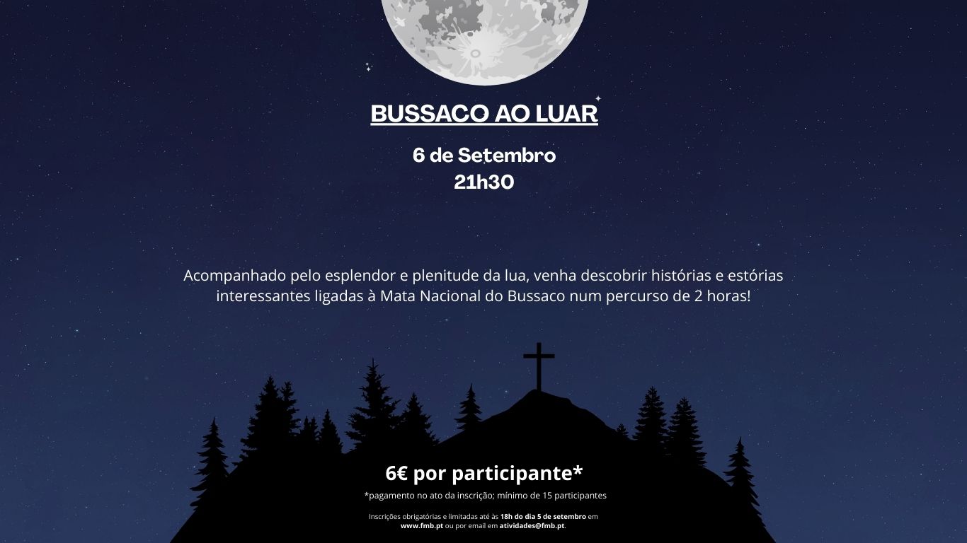 Bussaco ao Luar