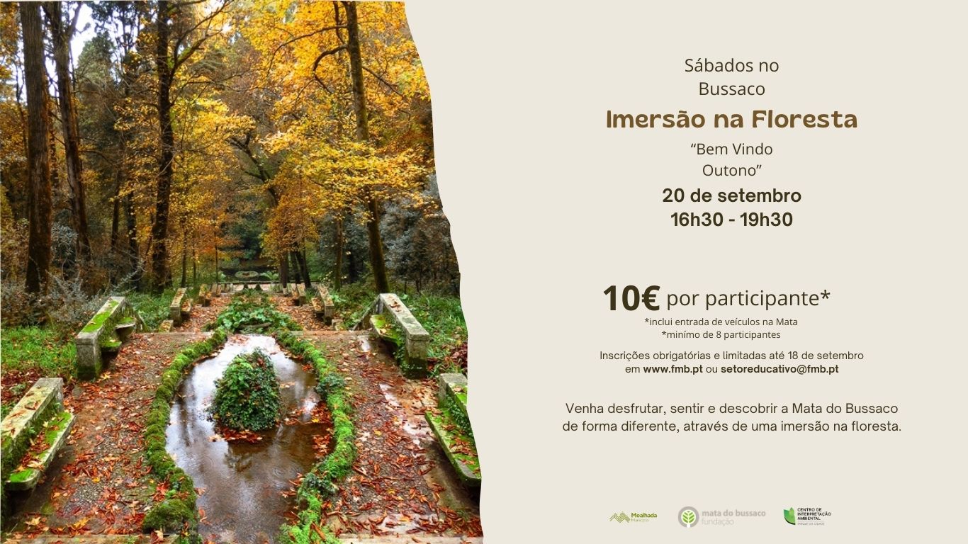 Sábados no Bussaco – Imersão na Floresta – “Bem Vindo Outono”