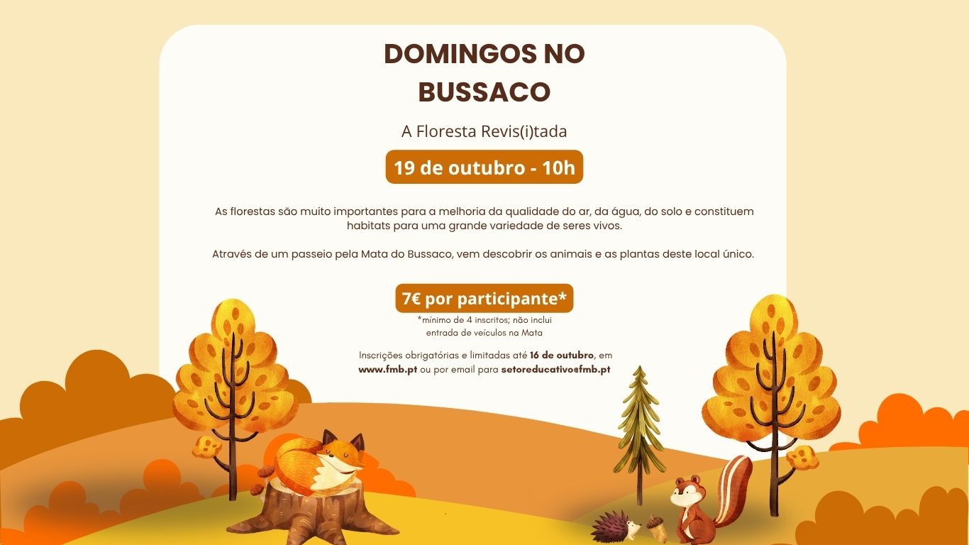 Domingos no Bussaco – A Floresta Revis(i)tada