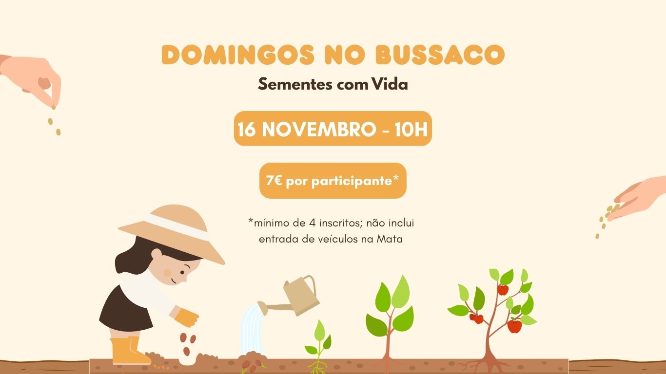 Domingos no Bussaco – Sementes com Vida
