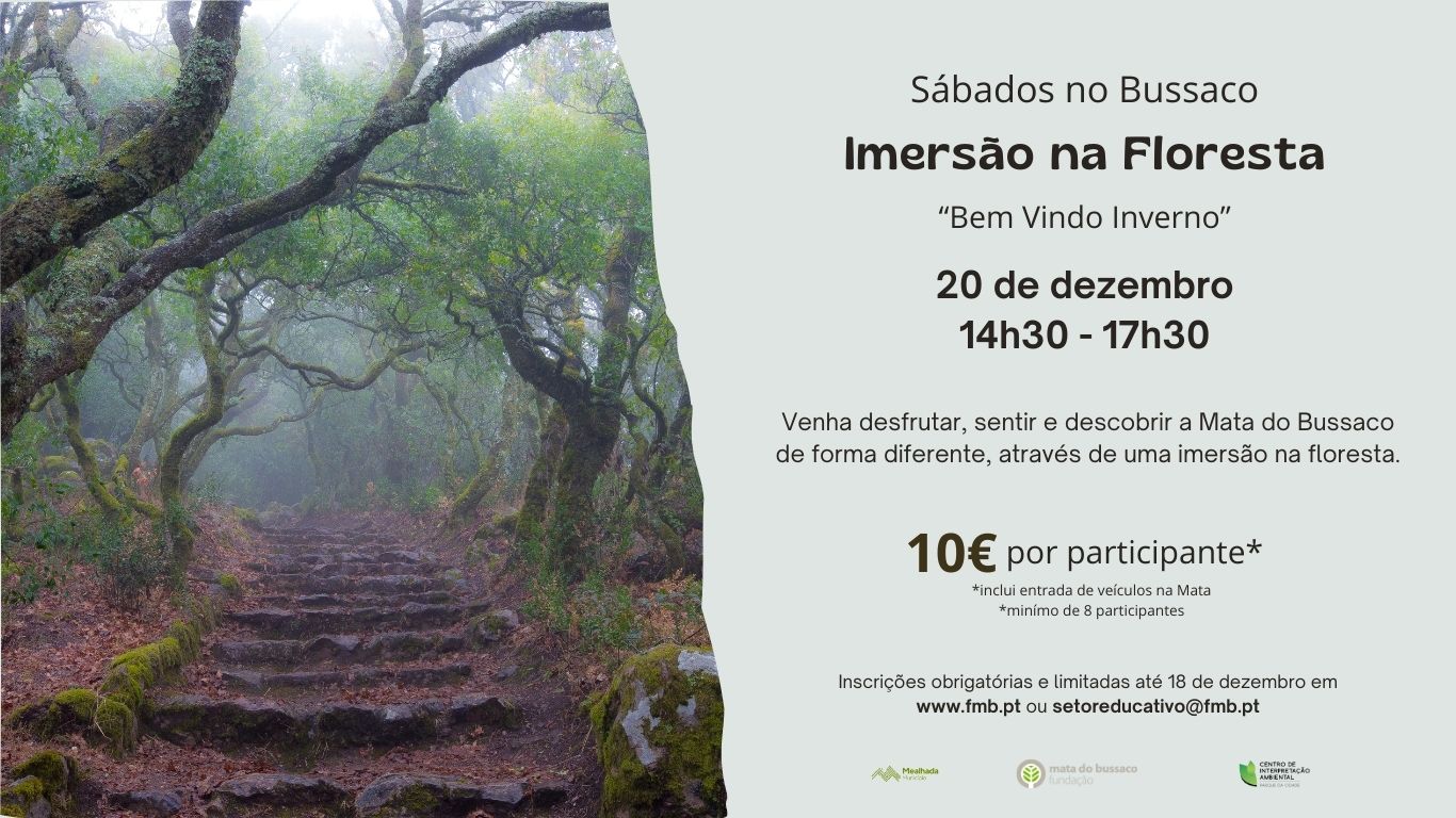 Sábados no Bussaco – Imersão na Floresta “Bem-Vindo Inverno”