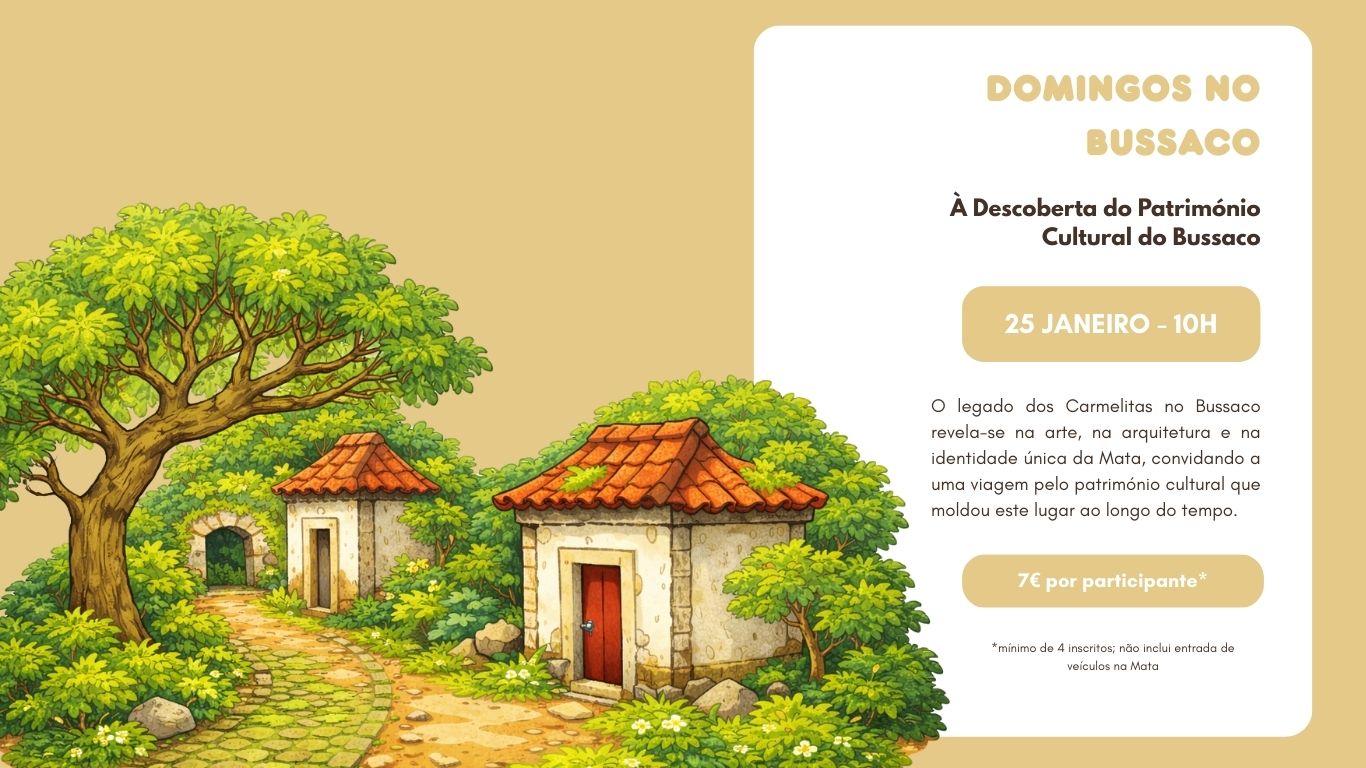 Domingos no Bussaco – À Descoberta do Património Cultural do Bussaco
