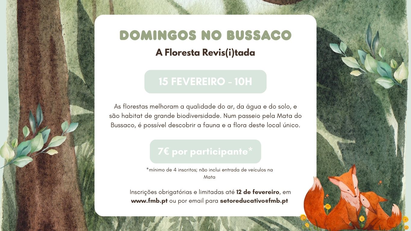 Domingos no Bussaco – A Floresta Revis(i)tada