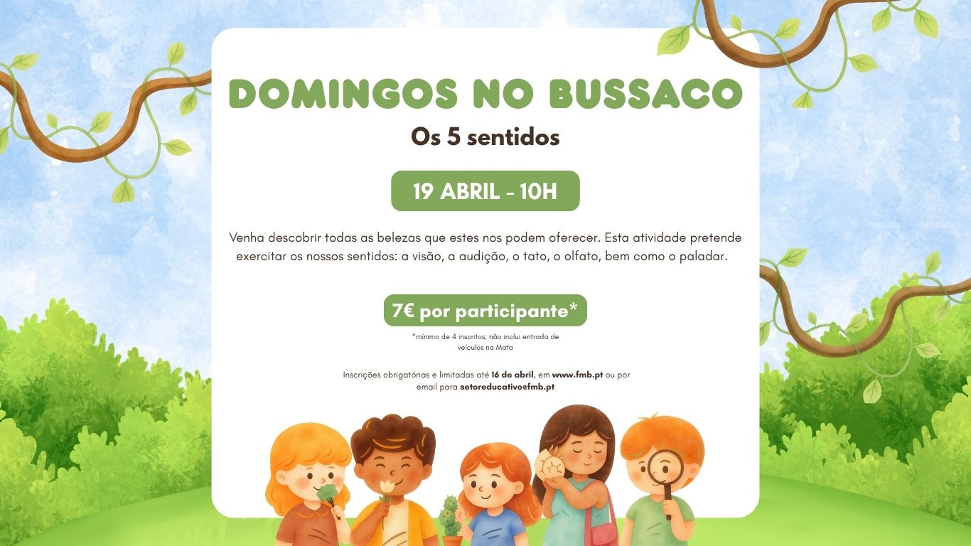 Domingos no Bussaco – Os 5 sentidos