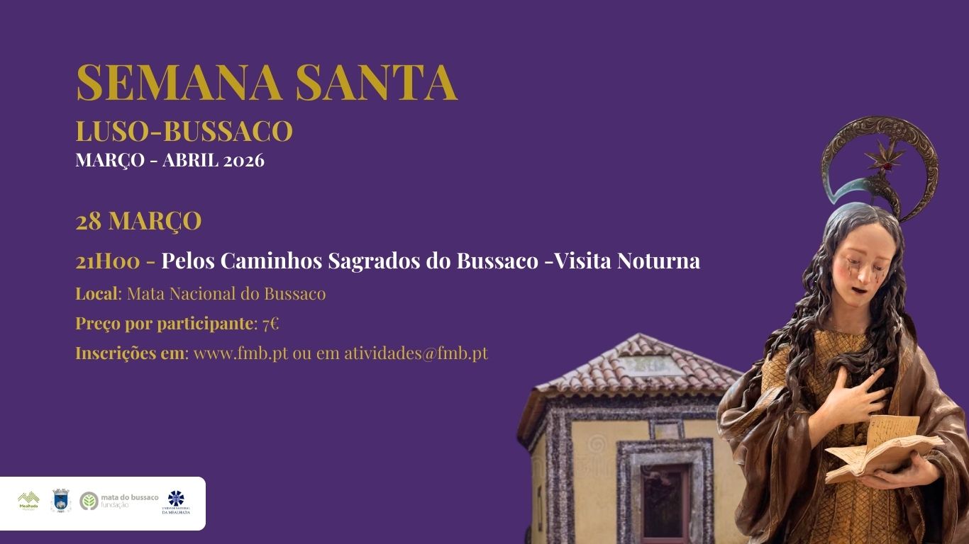 Pelos caminhos sagrados do Bussaco – Visita Noturna