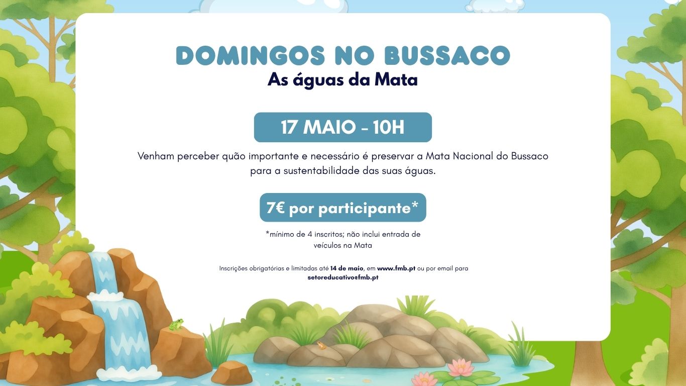 Domingos no Bussaco – “As Águas da Mata”